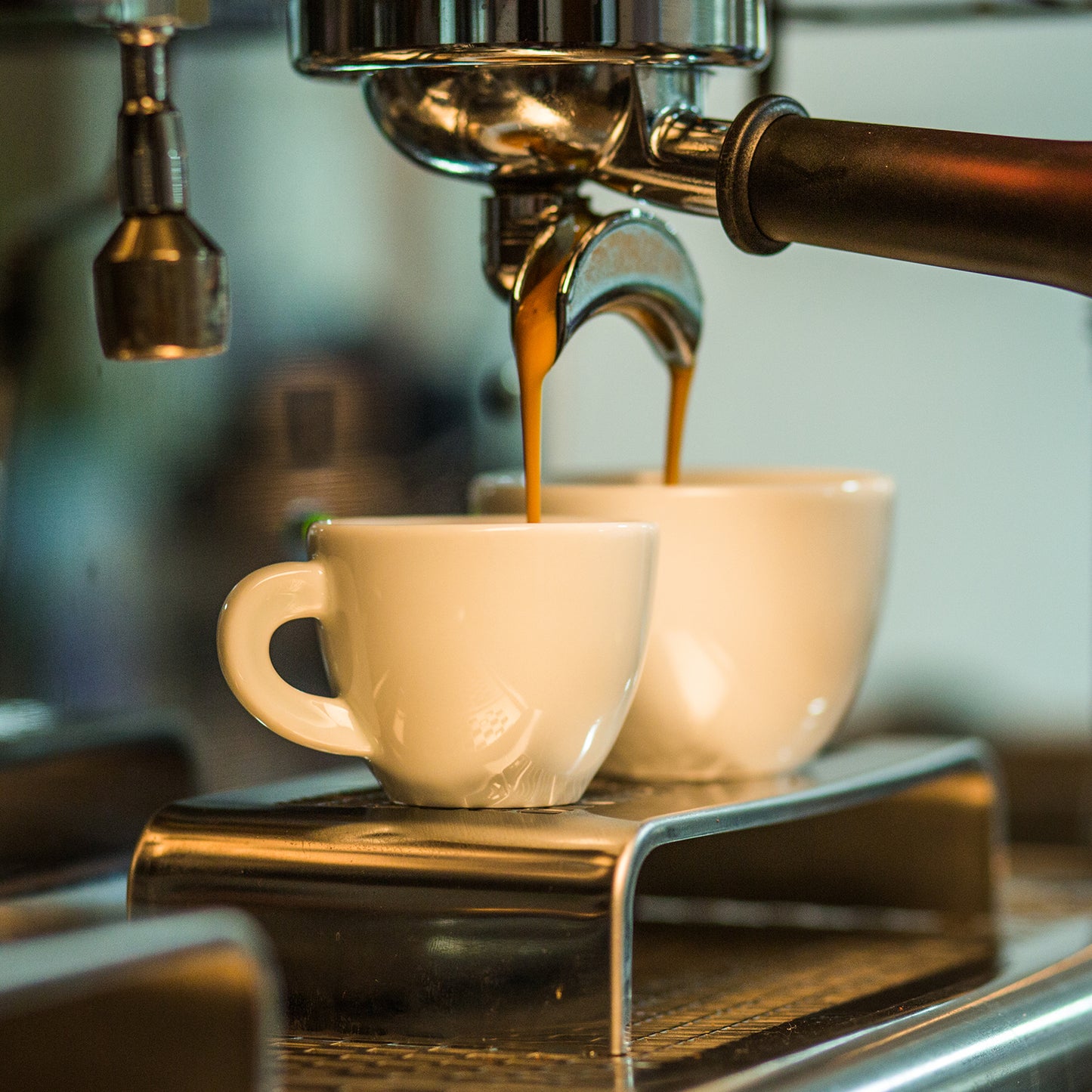 Mysore Nuggets Extra Bold