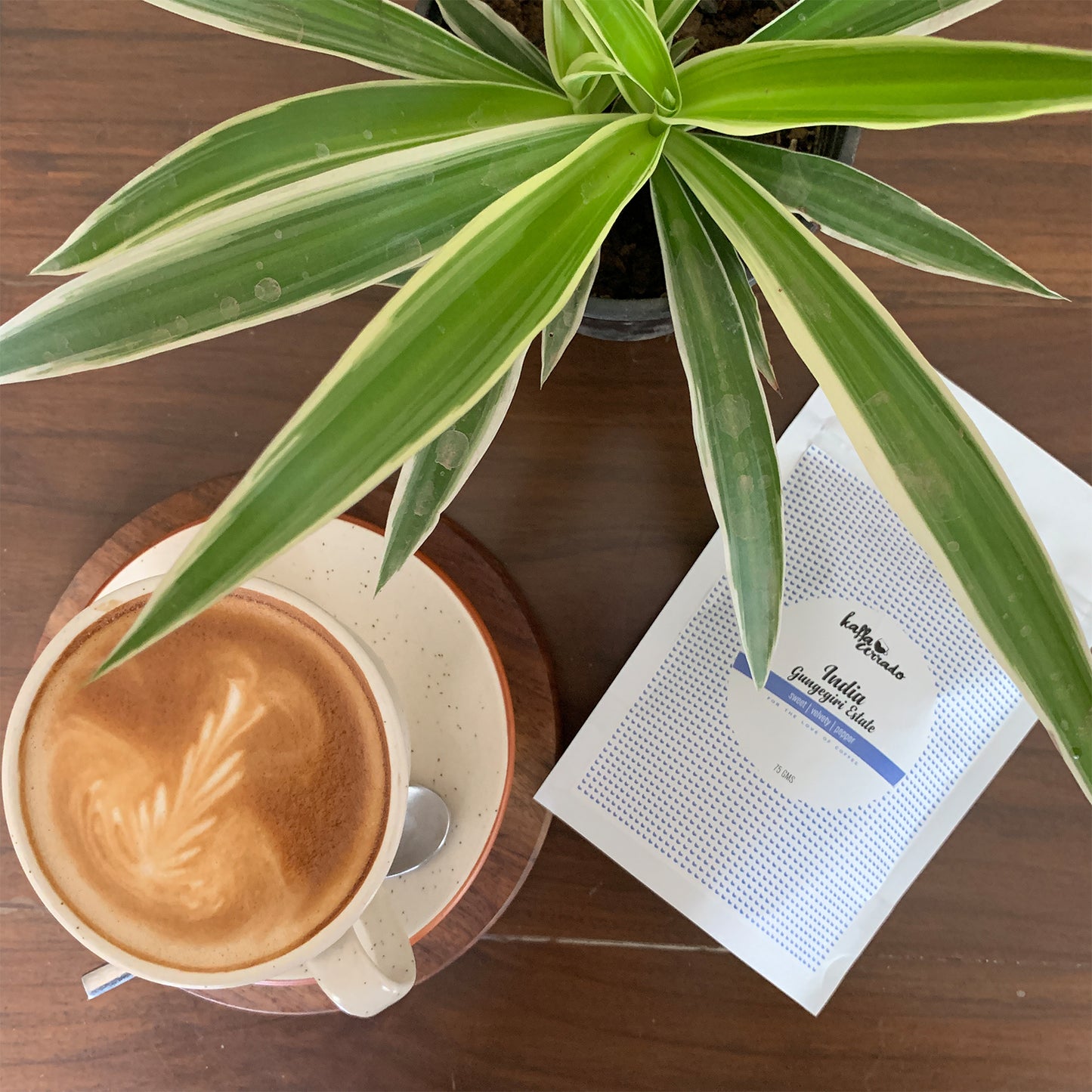 Dark Roast Tasting Pack