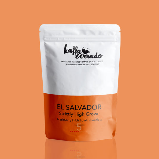 Salvador SHG